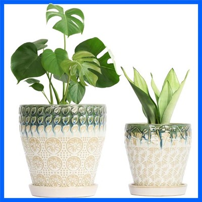 8Inch + 6Inch Indoor Planter Set with Drainage - Perfect for Orchids & Cacti