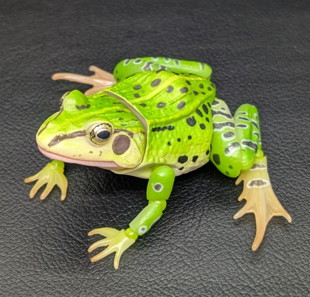 Bandai Gashapon Black-spotted Pond Frog Advanced Figure Realistic Japan Seller