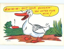 Pre-1980 Comic DUCK SAYS YOU VOTED FOR THE POLITICAL CANDIDATE 60k cards AC0239@