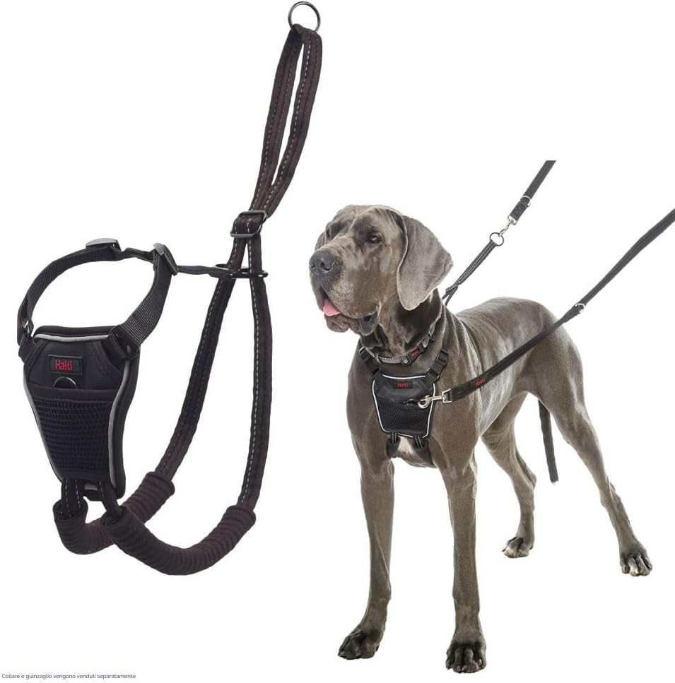 Pettorina Addestramento Cane Anti-Trazione | Design Anatomico Regolabile