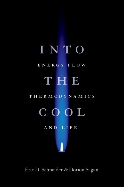 Into the Cool: Energy Flow, Thermodynamics, and Life by Eric D. Schneider NEW - Image 3