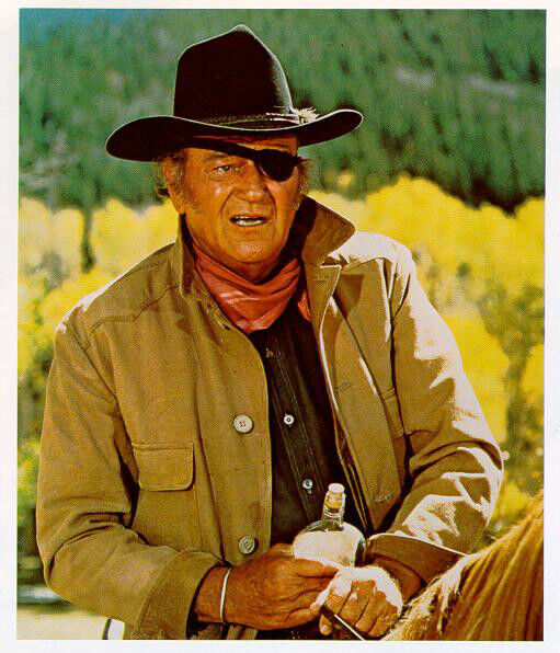 Image result for rooster cogburn