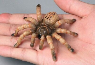 Tarantula Spider Insect Animal Toy PVC Action Figure Doll Kids Toys Party Gifts