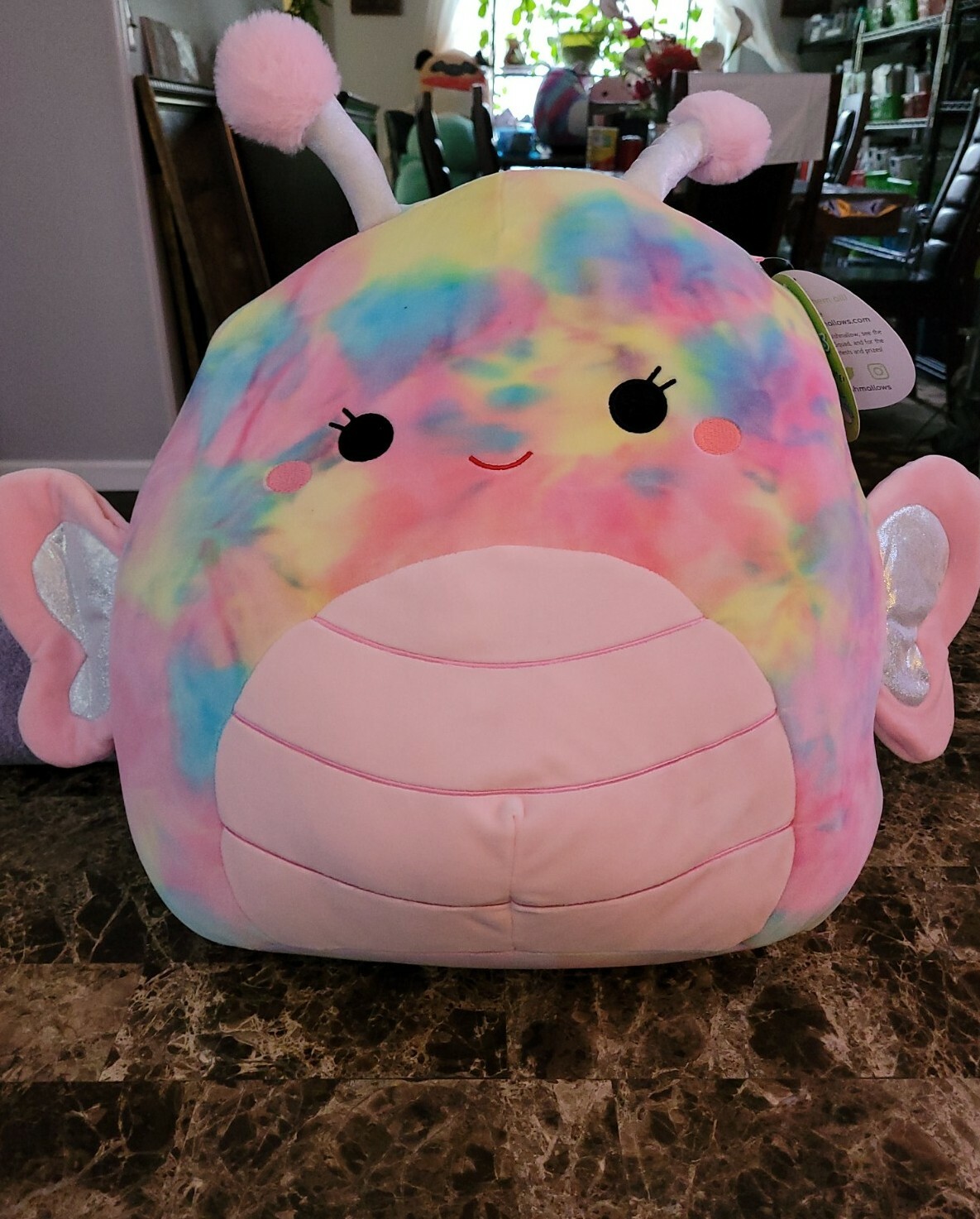 wren 16 squishmallow