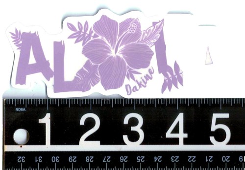 NEW!! SNOWFLAKE WINTER TEST DECALS / STICKERS FOR ZX-10RR ZX10R X2