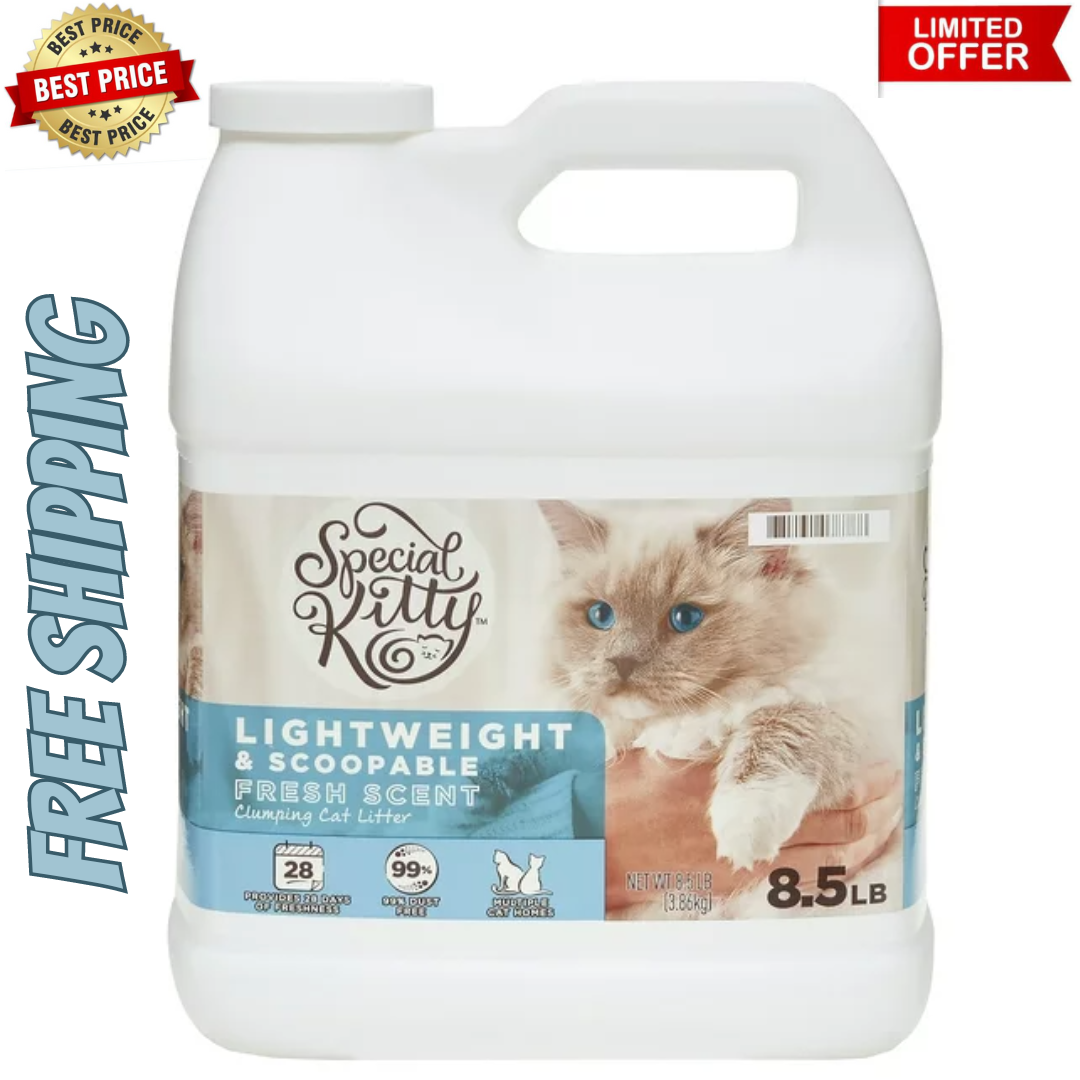 Special Kitty Lightweight & Scoopable Clumping Cat Litter, Fresh Scent, 8.5  Lb | eBay
