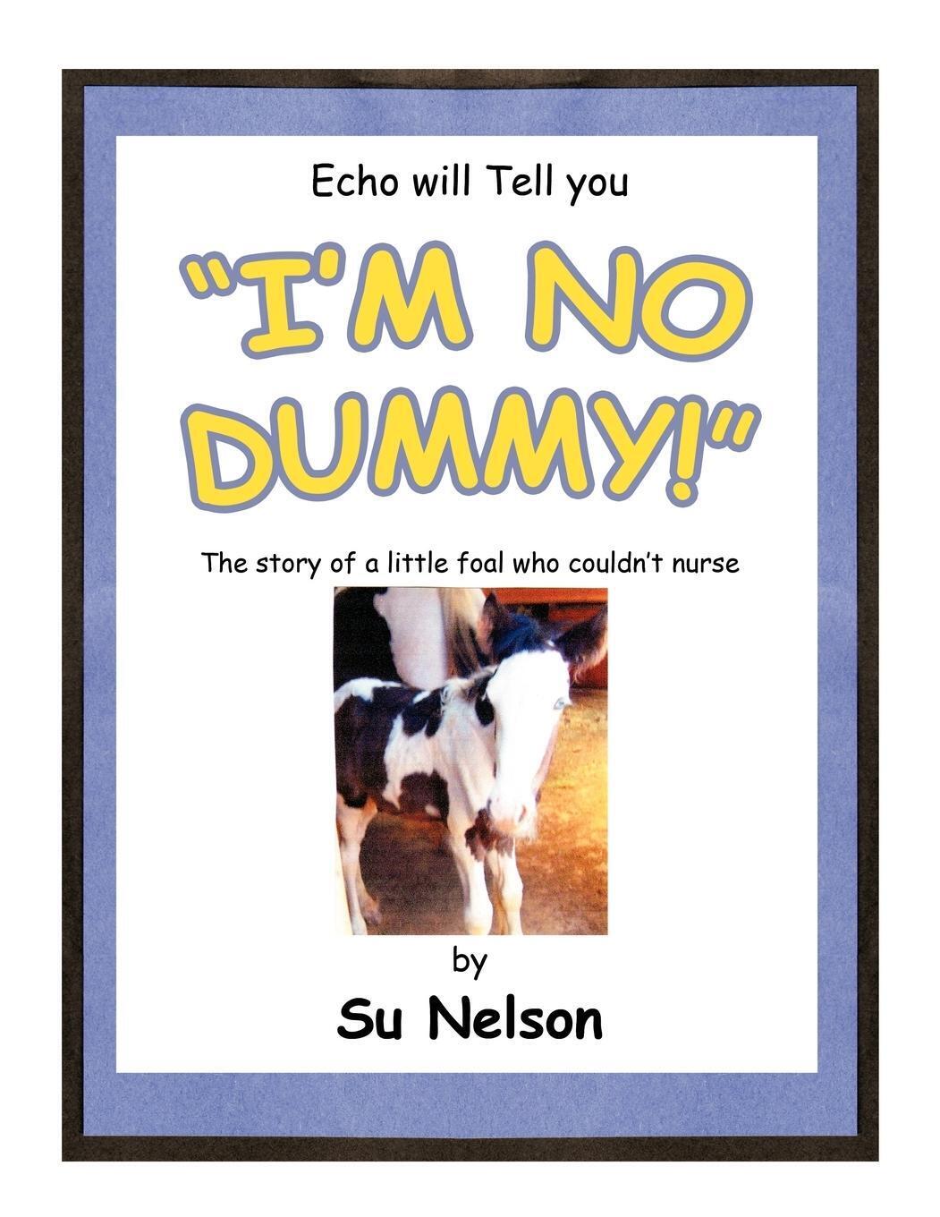 Thumbnail - Su Nelson | I'm No Dummy | Taschenbuch | Englisch (2011) | Paperback