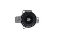 Valeo Wasserpumpe, MotorküHlung U.A. FüR Audi, Man, Seat, Skoda, VW