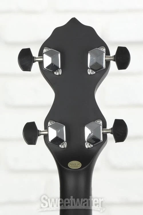 Gold Tone AC-1LN 5-string Open-back Banjo - Image 4 of 4