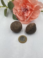 Moqui Marbles - 3 cm - lebende Steine - Indianersteine