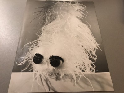 PLOOM - Original Pressefoto 21x27cm