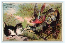 A.S.T.C Black Tip Shoe - Fantasy Cat and Bird Scene C.W. Long Glen's Fall NY 