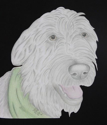 Irish Wolfhound Kunstwerk auf Leinwand und Baumwolltaschen schwarz, blau oder natürlich - Bild 7 von 8