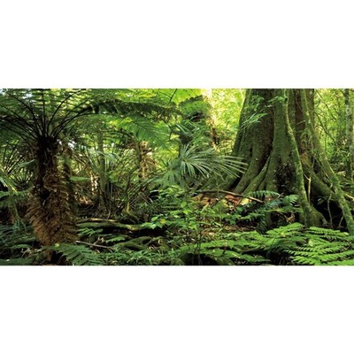AWERT 48x18 inches Forest Terrarium Background Stone Green Huge Tree Reptile ...