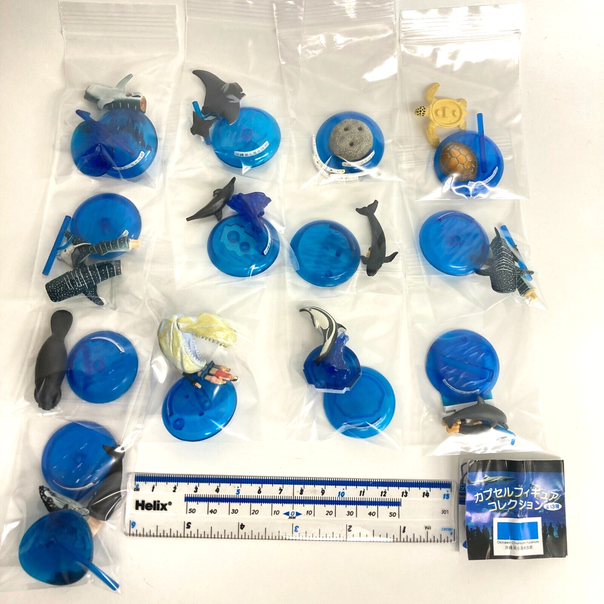 Okinawa Churaumi Aquarium Capsule Figure Collection Set of 13pcs