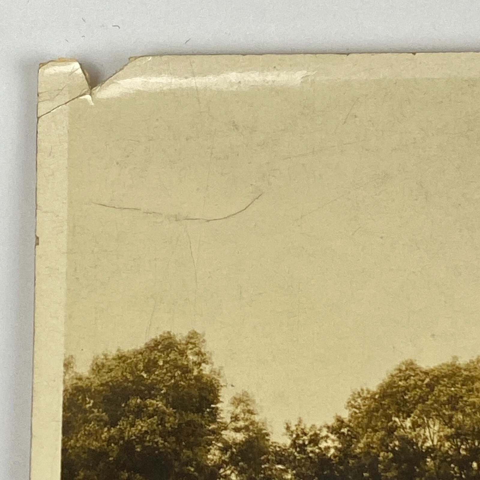 Picture 9 of 22