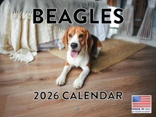 Beagle Calendar 2026 Beagles Monthly Wall Calender 12 Month 12x18
