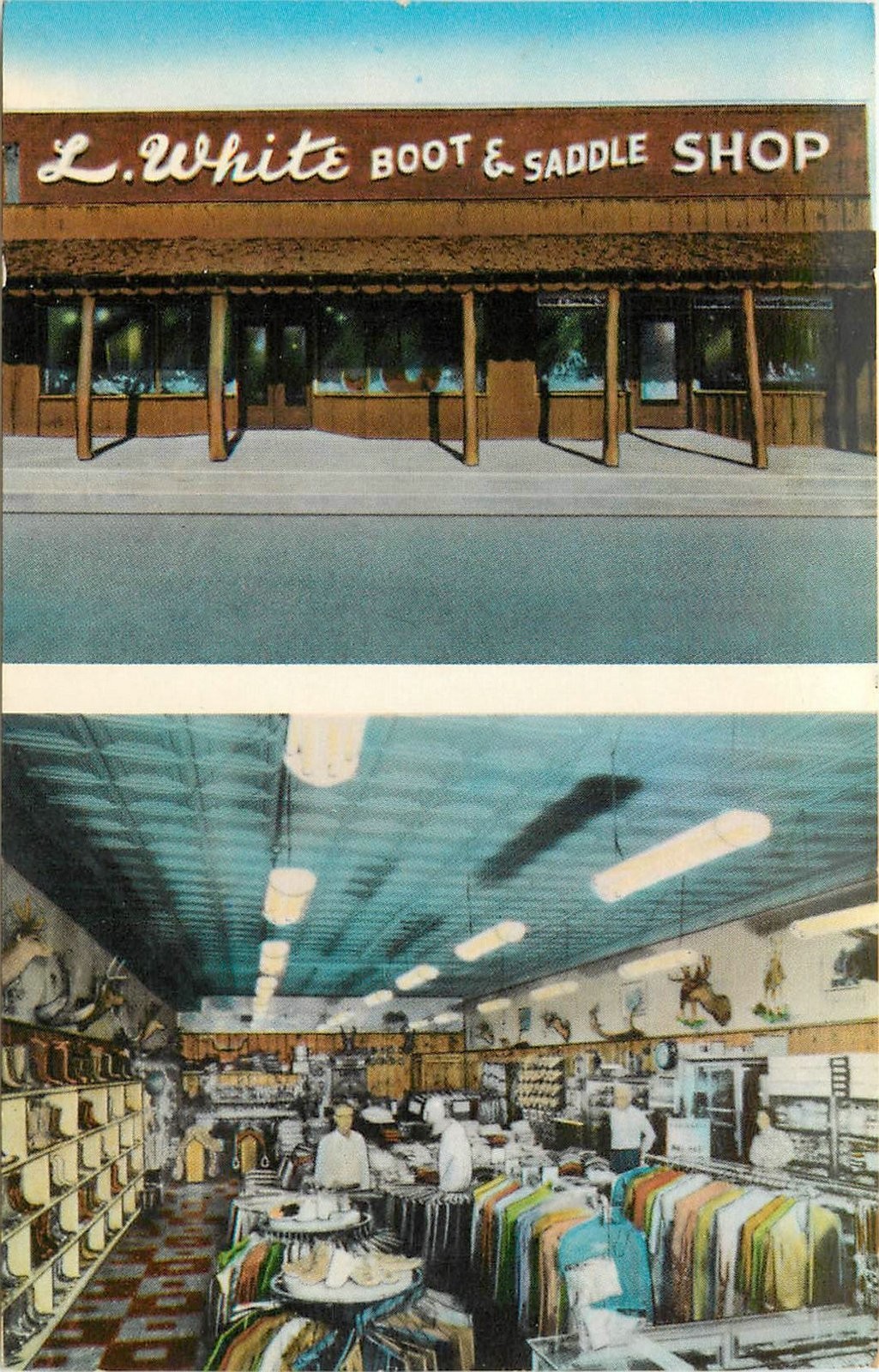 1950s Fort Worth Texas White Boot Saddle Shop interior entrance Postcard 25-6874