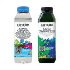 Live Copepods 16oz Phytoplankton 16oz Combo - Mandarin Goby Seahorse Food