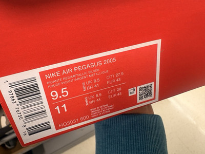 Nike Air Pegasus 2005 Picante Red/White/Silver Mesh Low Top HQ3031-600