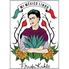 ATA-BOY MI MEXICO LINDO MAGNET 2.5” X 3.5” NEW