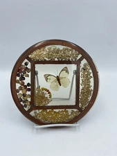 Vintage Butterfly Trivet Lucite Resin Acrylic Nature 60s 70s Boho Cottagecore