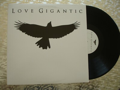 Love Gigantic   Love Gigantic Vinyl LP  Independent Release  