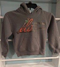 Boy Grey Pullover Sweatshirt Hoodie Sz 4-5 Heavy Thick Cotton Fleece Lined Warm