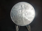 2010  American Silver Eagle 1 oz Silver