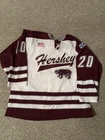 Hershey Bears AHL Game Worn Hockey Jersey By Aaron Miskovich Season 2001-2002