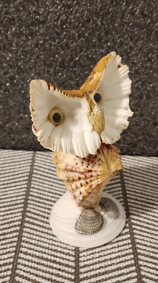 Vintage Sea Shell Owl Art Sculpture Statue On Shell Base Handmade Large 6” - Image 3 of 4
