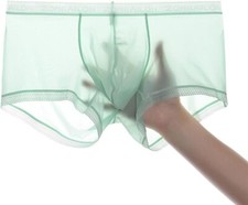 Men's Boxer Briefs Stretch See-Through Underwear Ice Silk Trunk Transparent