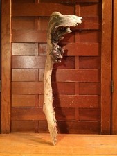 Beautiful 18" DRIFTWOOD Piece Art Terrarium Taxidermy Aquarium Beach Wood DECOR