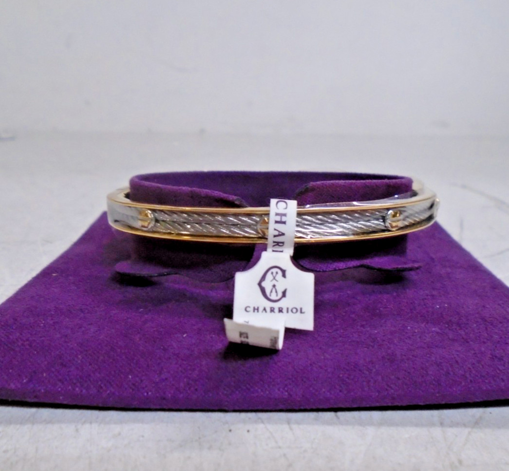 Charriol Forever Eternity Thin Screws Bracelet 2x 1mm Stainless Steel PVD Cables