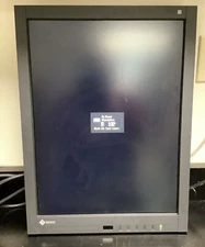 EIZO RADIFORCE RX340 MONITOR | Scratched Screen | No Power Adapter