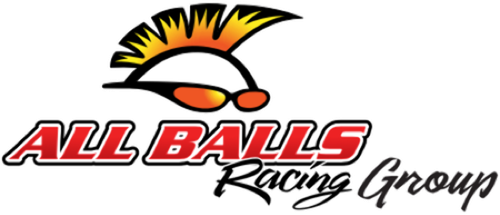 F700GS _ 2012-2017 _ BMW _ All Balls _ Steering Stem Bearing & Seal Kit - Picture 4 of 5