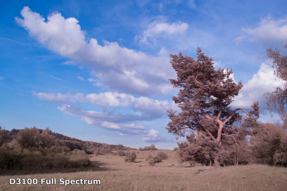 VOLLSPEKTRUM DSLR NIKON D5100 Astrokamera Infrarotkamera undefiniert Astro Mod - Bild 4 von 4