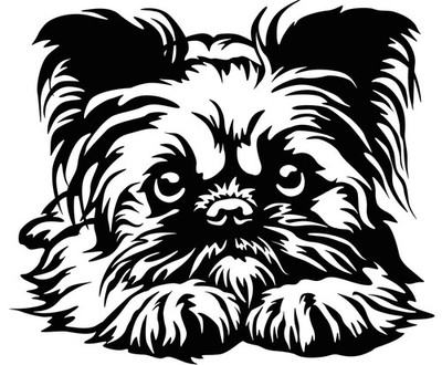 BRÜSSELER GRIFFON Aufkleber - Griffon Autoaufkleber - sticker - Griffon Kopf 22
