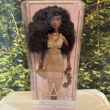 NIB Naturalistas 11.5-inch Dayna Fashion Doll and Accessories DeeDee Wright-Ward