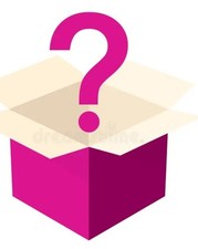 MYSTERY 25 Piece BOX OF CLOTHING WOMENS SIZE ...