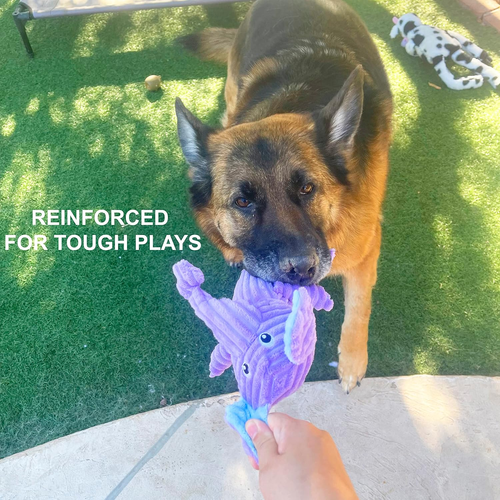 Multipack Dog Squeaky Toys Strong Almost Indestructible, with Added Liner for Lo - Picture 3 of 12