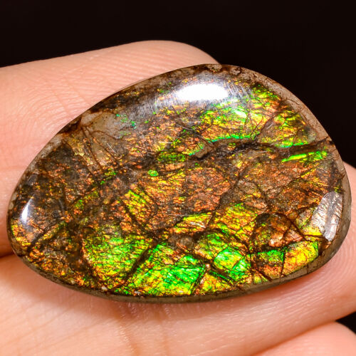 21.50Cts. Natural Play Of Multi Fire Ammolite Fancy Cabochon Loose Gemstone