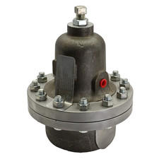 cashco-123-1dn25-npt-pressure-relief-regulator-8b6a3671b000000c-65160psi