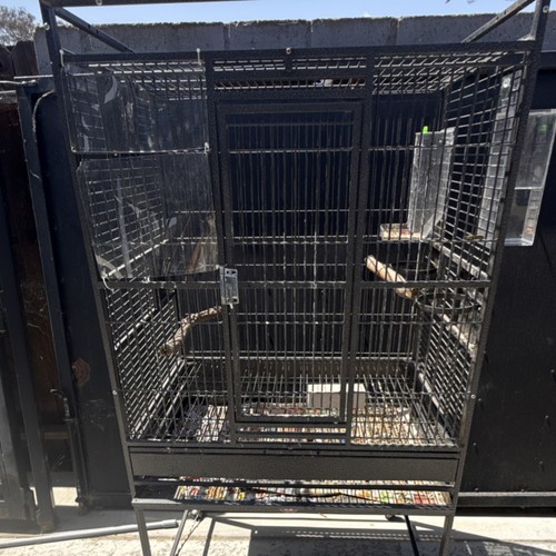 Large Black Metal Flight Bird Cage for Parrots with Perches & External Feeders