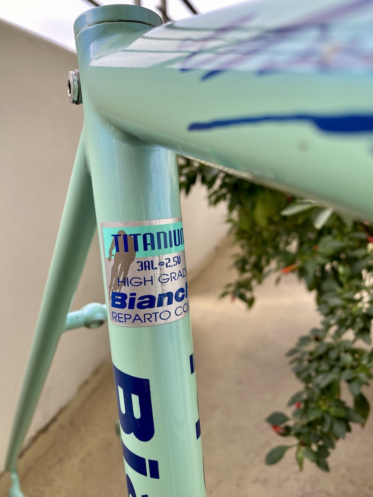 bianchi titanium megatube