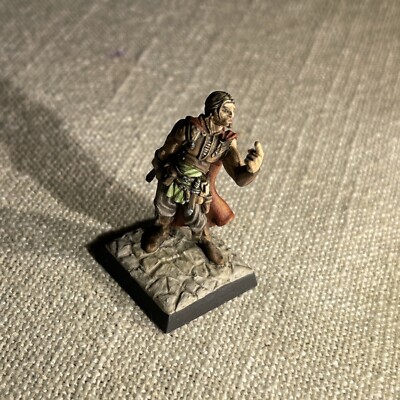 PRO PAINTED REAPER MINIATURES  D&D DUNGEONS & DRAGONS Warrior Champion