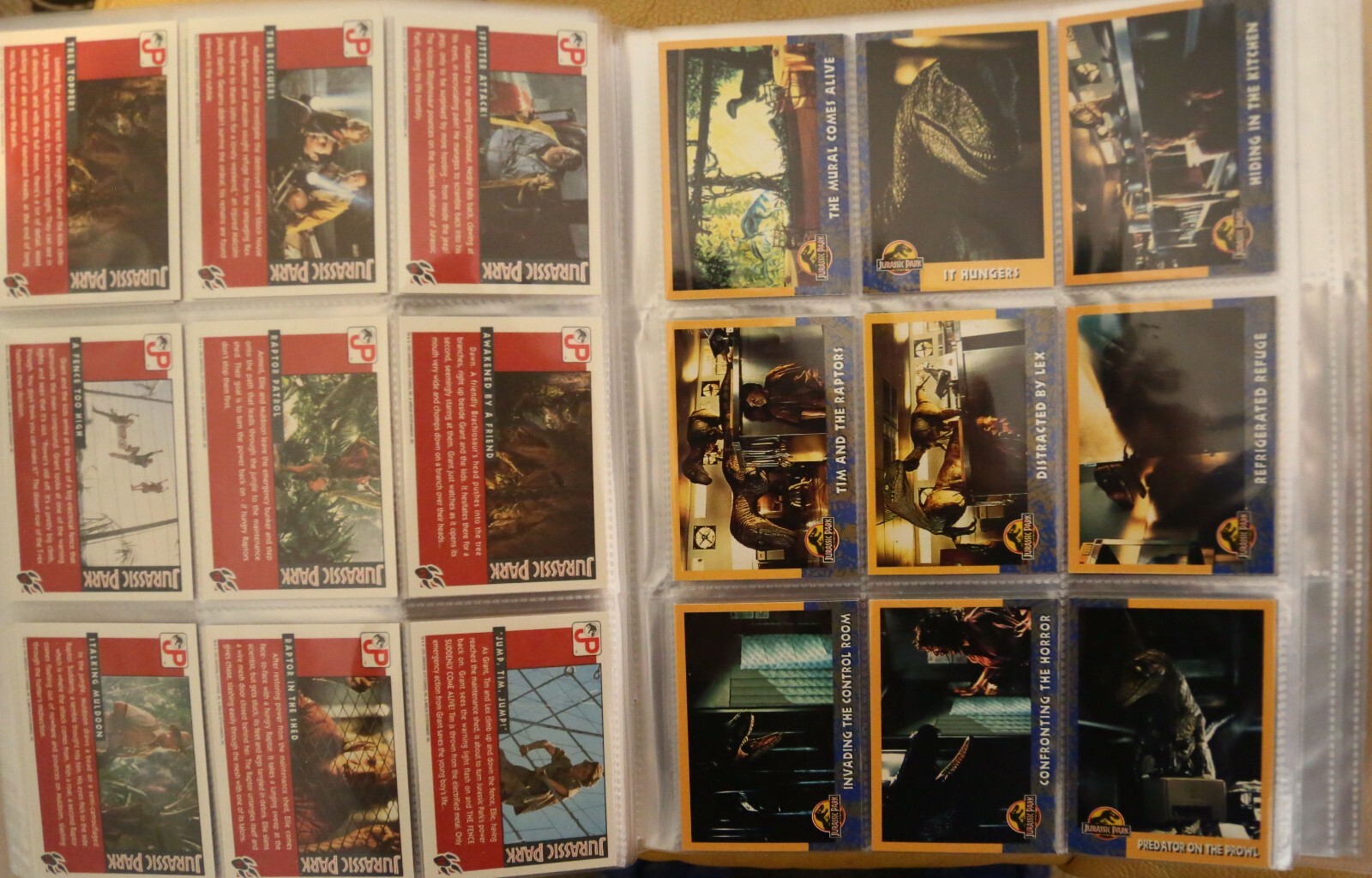 Bild 7 von 12