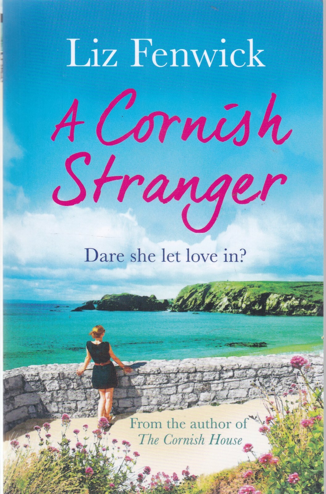 A Cornish Stranger By Liz Fenwick NEW Paperback Book 9781409148241