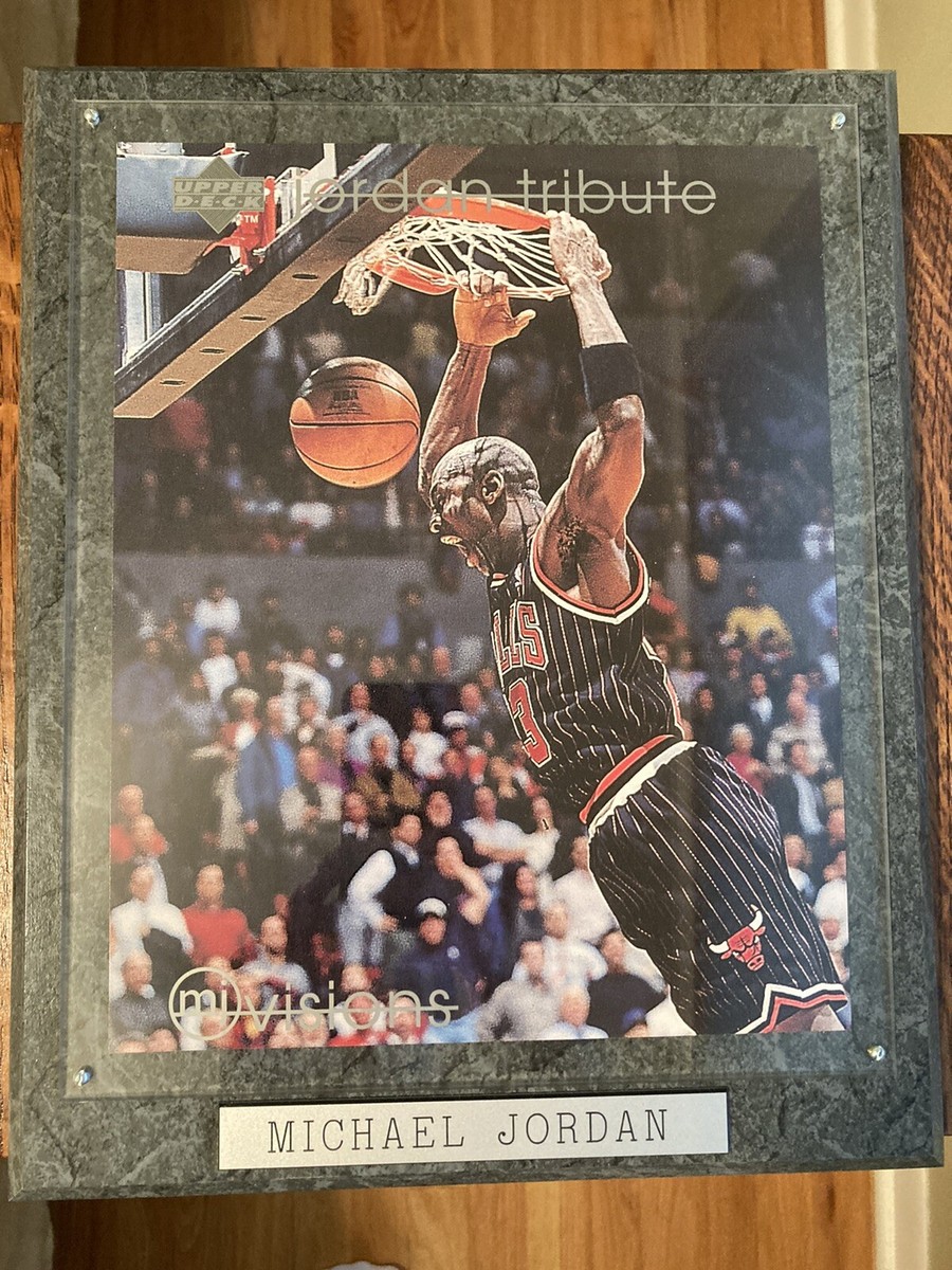 Michael Jordan Upper deck Tribute MJ Visions 8x10 Basketball Card 