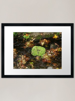 Autumns Glory Framed Art Print Framed Wall Art Poster Canvas Print Picture